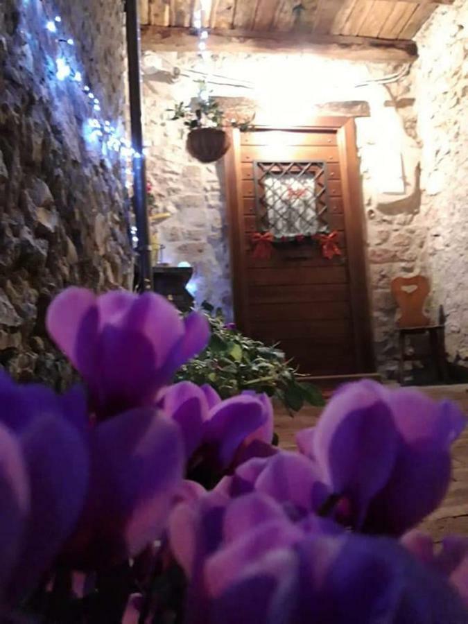 Rupe Antica Bed and Breakfast Artena Εξωτερικό φωτογραφία